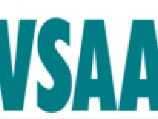 VSAA konsultācijas Skrundas novada pašvaldībā 2015. gadā