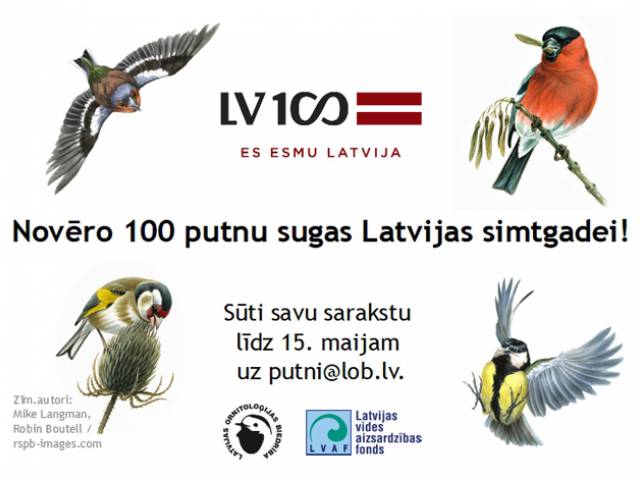 Novēro 100 putnu sugas Latvijas simtgadei