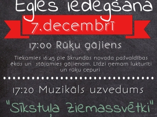 Rūķu gājiens un pilsētas lielās svētku egles iedegšana