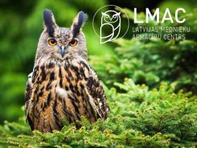 Informācija par mednieku un medību vadītāju apmācību