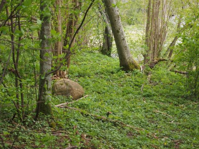 Aicinājums meža īpašniekiem izteikt savu viedokli saimniekošanu īpaši aizsargājamās dabas teritorijās - Skrundas pilsētas pārvalde