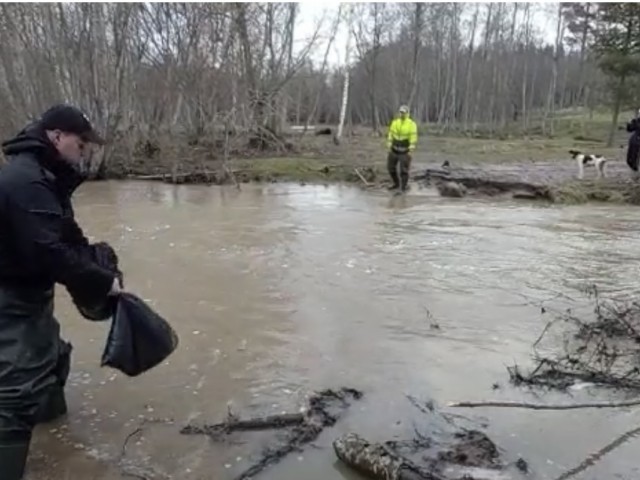 Skrundā augstā ūdenslīmeņa dēļ pašvaldības policija nogādā pārtikas paku ģimenei