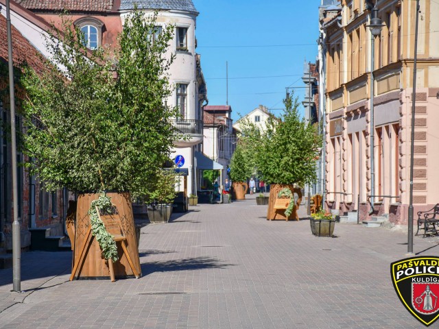 Pašvaldības policija atgādina – atbildīgi jāpavada Līgo svētki