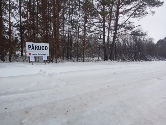 Pārdod nekustamo īpašumu - “Rema”, Skrundas pagasts, Kuldīgas novads 