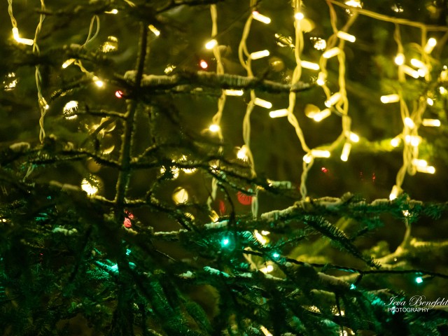 Decembra pasākumi Skrundas pusē