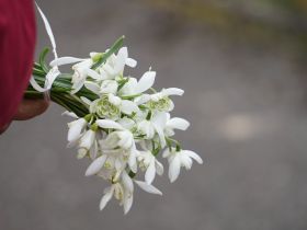 Komunistiskā genocīda upuru piemiņas pasākumi novadā