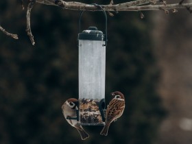 Aprīļa mēnešā pasākumi Skrundas pusē