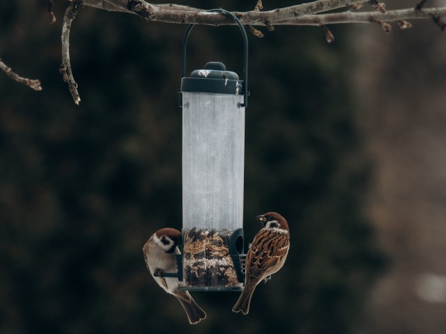 Aprīļa mēnešā pasākumi Skrundas pusē