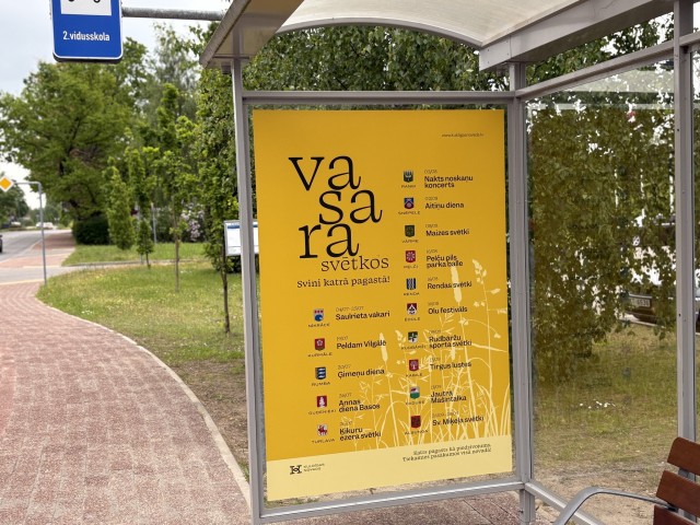 Svini vasaru Kuldīgas novadā