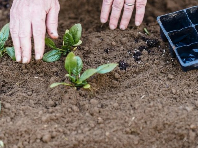 Lauksaimnieki aicināti uz aktuālās informācijas dienu