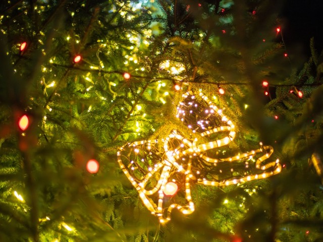 Decembra sākumā Skrundā iemirdzēsies Ziemassvētku egle